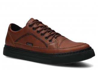 MODELL 462 BRAUN WOLKE