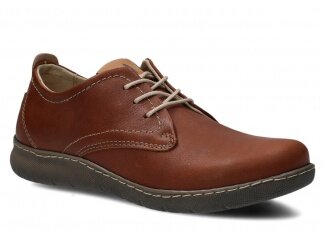 MODELL 331 BRAUN WOLKE