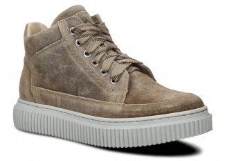 MODELL 6101 Olive Velours Wax