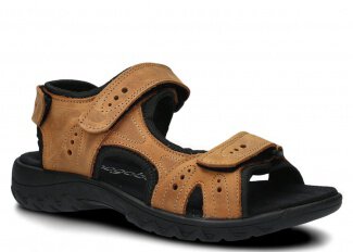 MODELL 264 Braun Crazy 