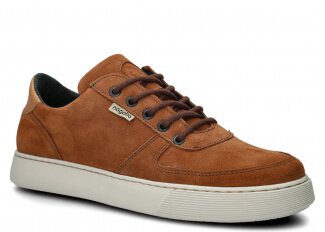 MODELL 439 Braun Velours 