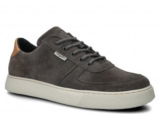 MODELL 439 Graphit Velours 