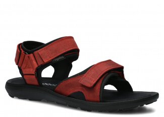 MODELL 267 ROT CRAZY