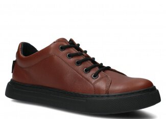 MODELL 481 Rostrot Lico 
