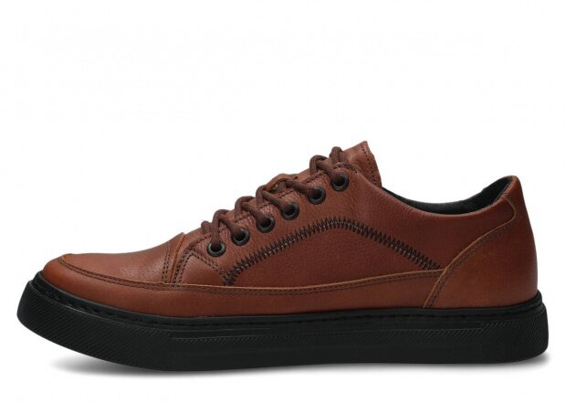 MODELL 462 BRAUN WOLKE