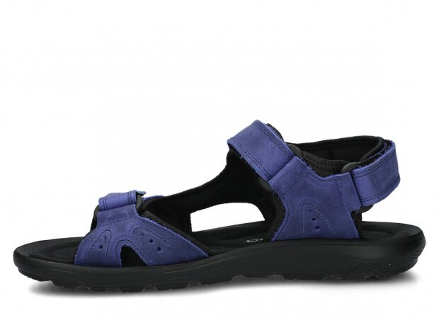 MODELL 265 Kornblume crazy 